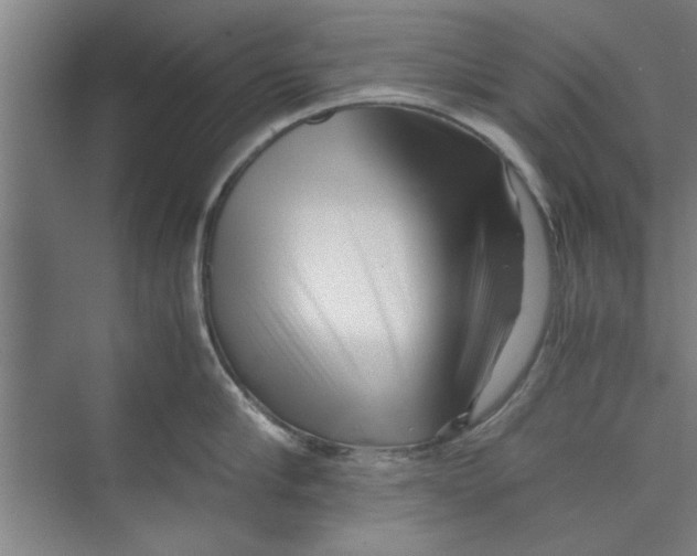X0000071970910200608041642