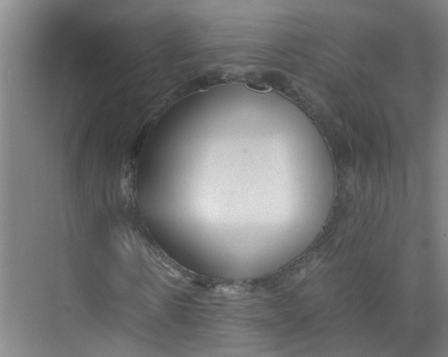 X0000071970914200608041642