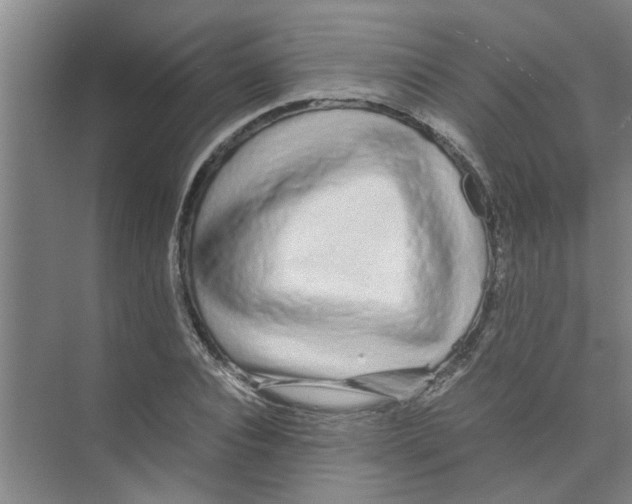 X0000071970928200608041642