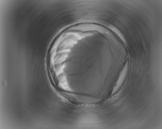 X0000071970958200608041642