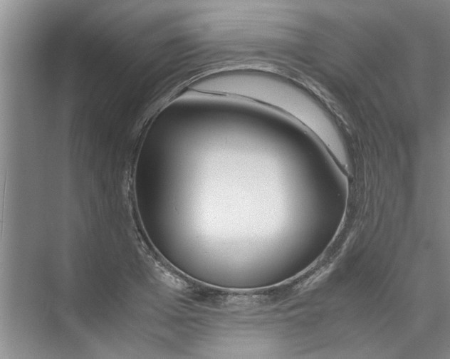 X0000071970985200608041641