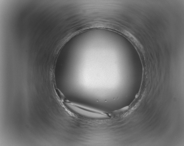 X0000071970993200608041641
