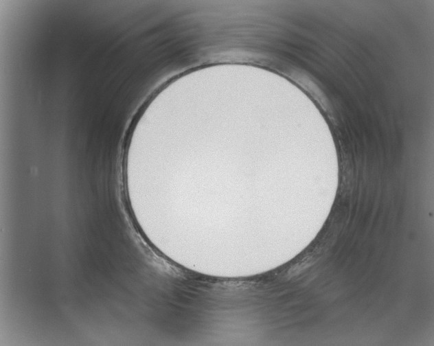 X0000071971000200608041641