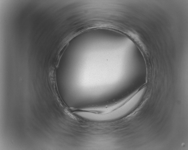 X0000071971001200608041641