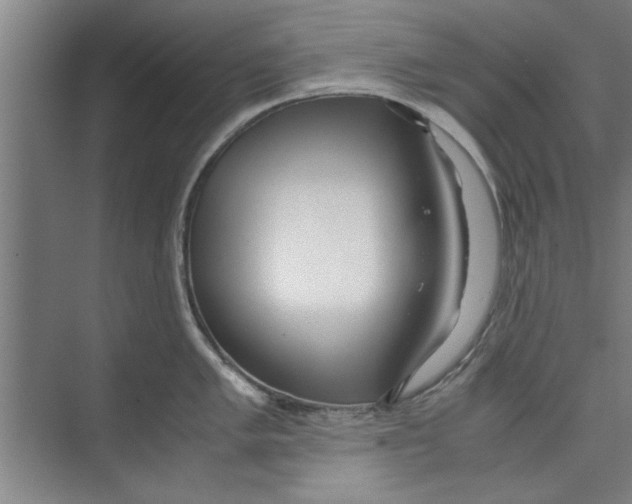 X0000071971005200608041641