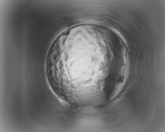 X0000071971007200608041641