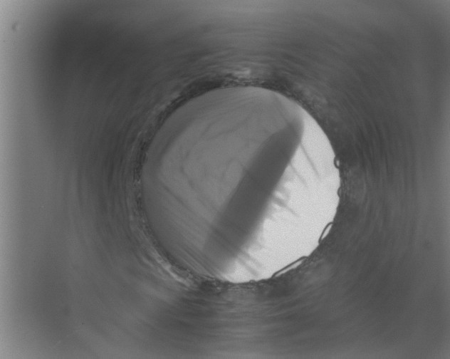 X0000071971009200608041640