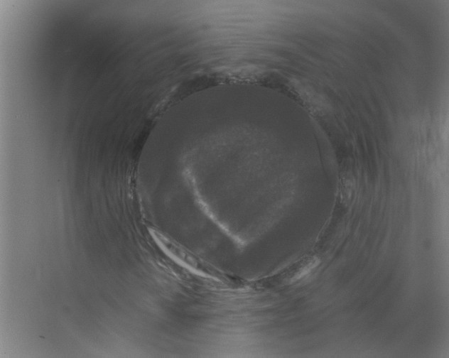 X0000071971010200608041640