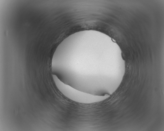 X0000071971012200608041640