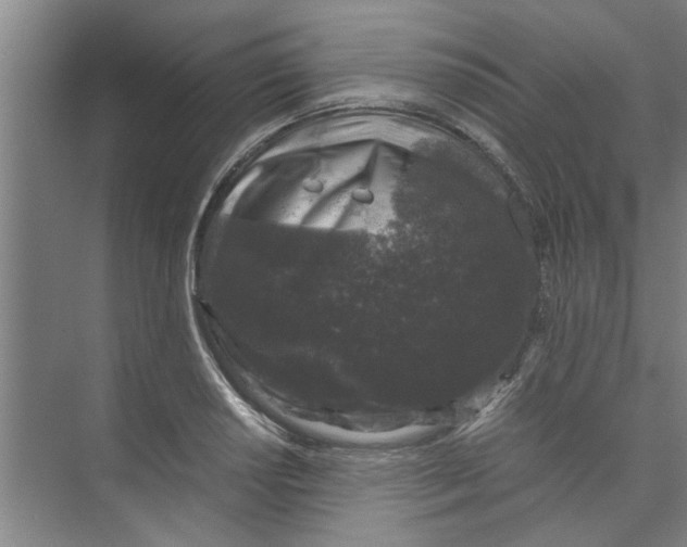 X0000071971034200608041640