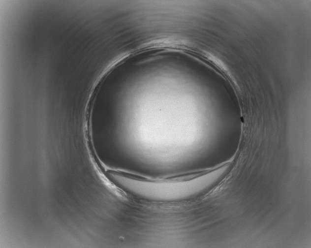 X0000071971042200608041640