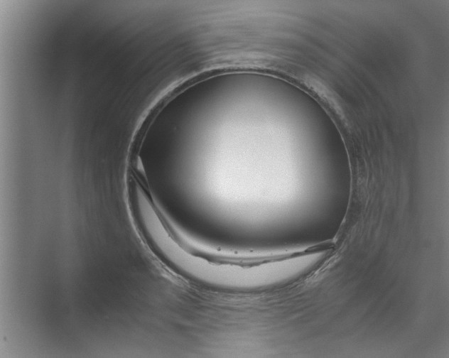 X0000071971085200608041639