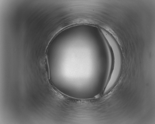 X0000071971089200608041639