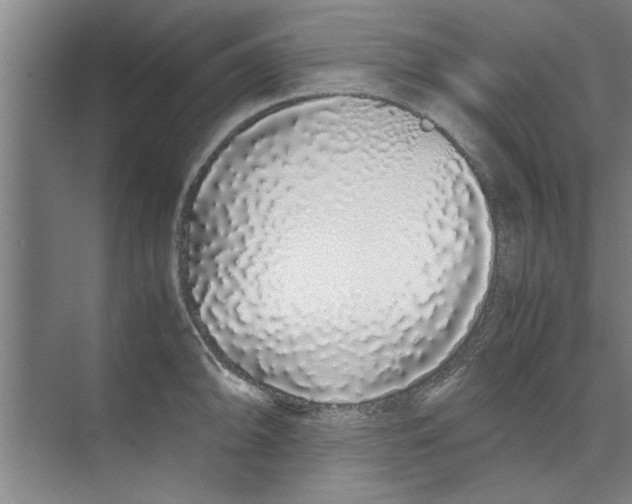 X0000071971094200608041639