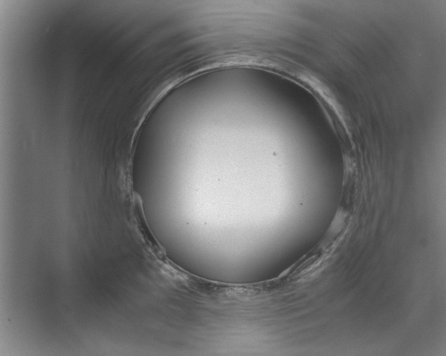 X0000071971097200608041639