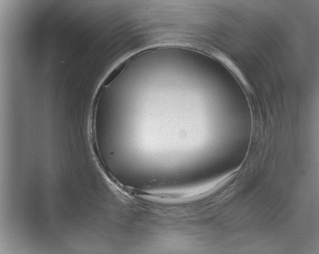 X0000071971101200608041639