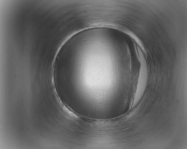 X0000071971102200608041639