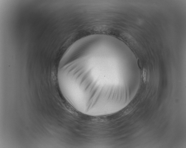 X0000071971107200608041638