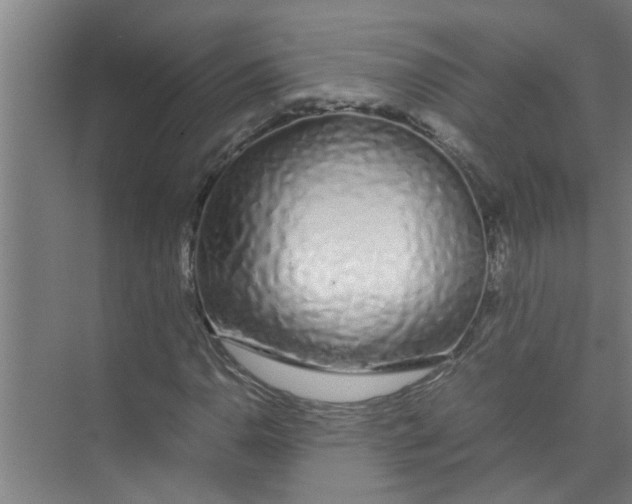 X0000071971110200608041638