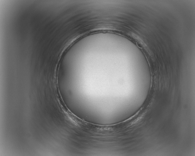 X0000071971129200608041639
