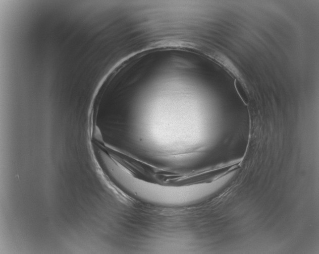 X0000071971132200608041639