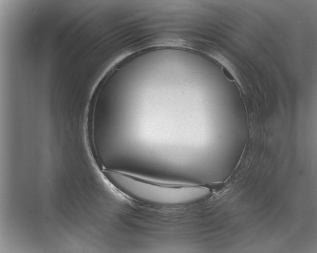 X0000071971139200608041639