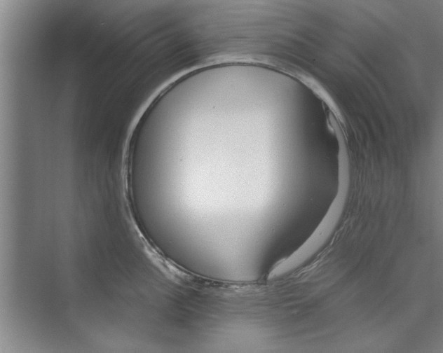 X0000071971148200608041639