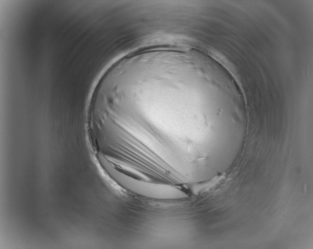 X0000071971152200608041639