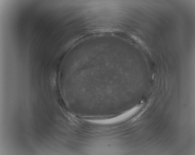 X0000071971161200608041638