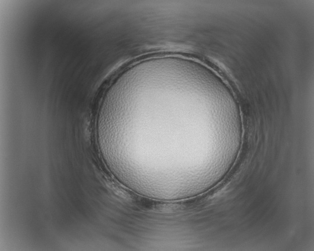 X0000071971163200608041638
