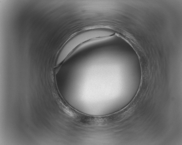 X0000071971177200608041638