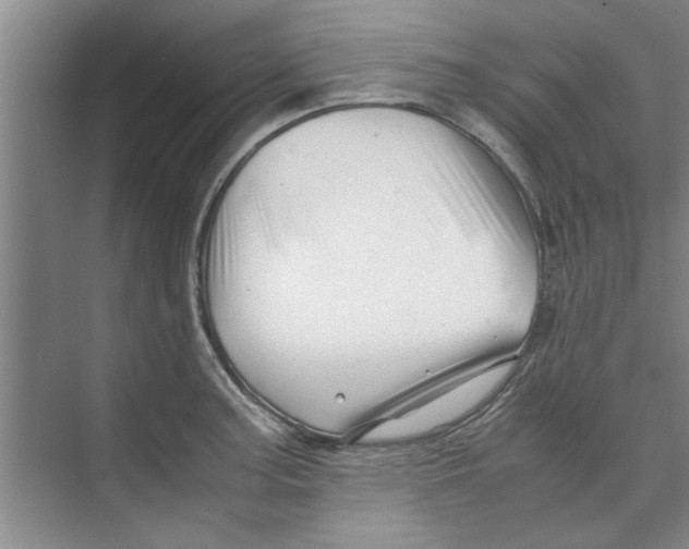 X0000071971187200608041638