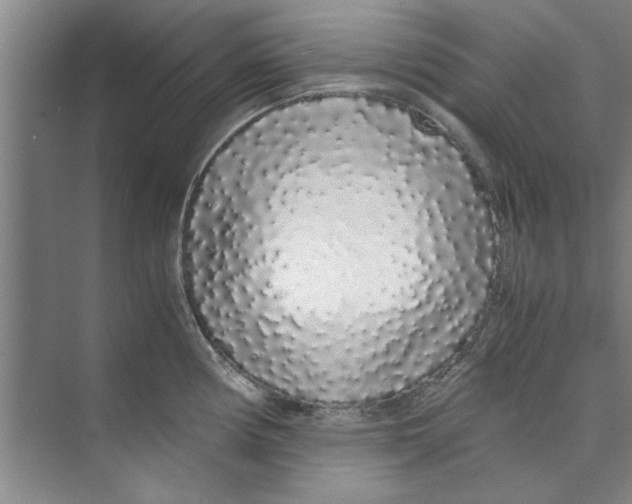 X0000071971194200608041638
