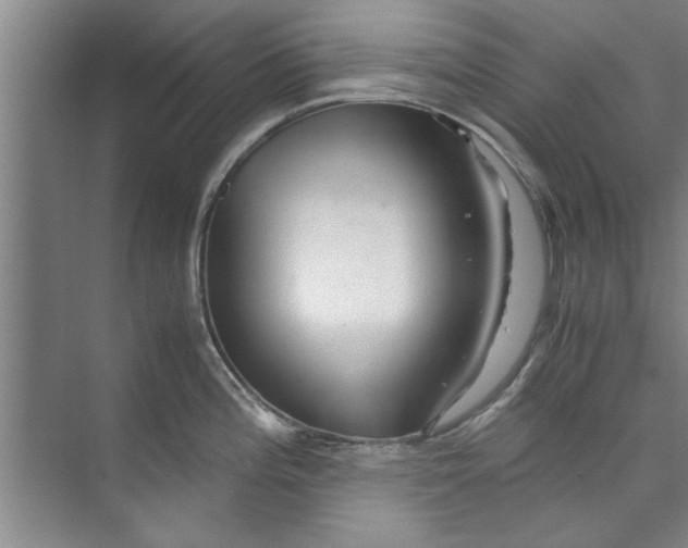 X0000071971196200608041638