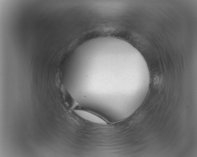 X0000071971204200608041637
