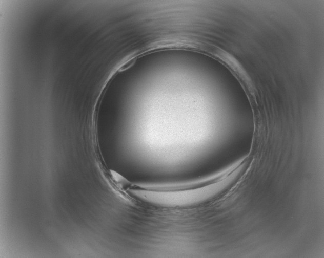 X0000071971242200608041637