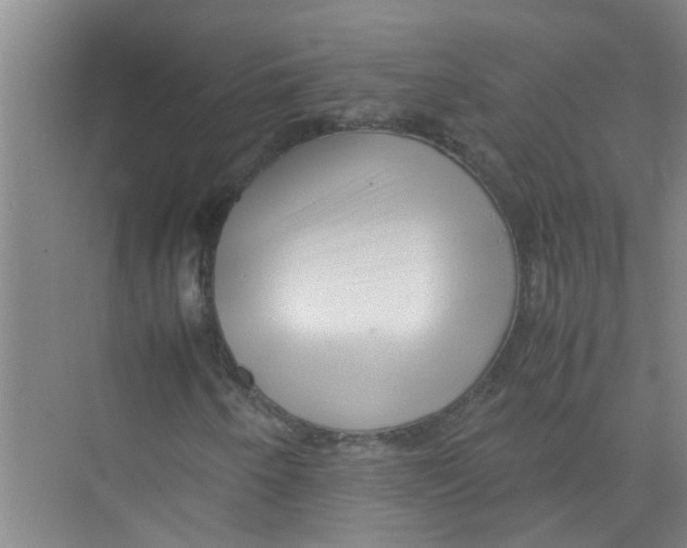 X0000071971250200608041637