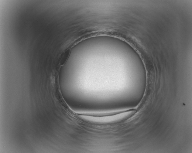 X0000071971257200608041637