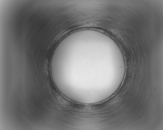 X0000071971265200608041636