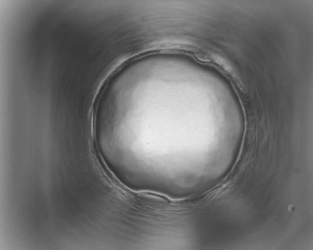 X0000071971275200608041636