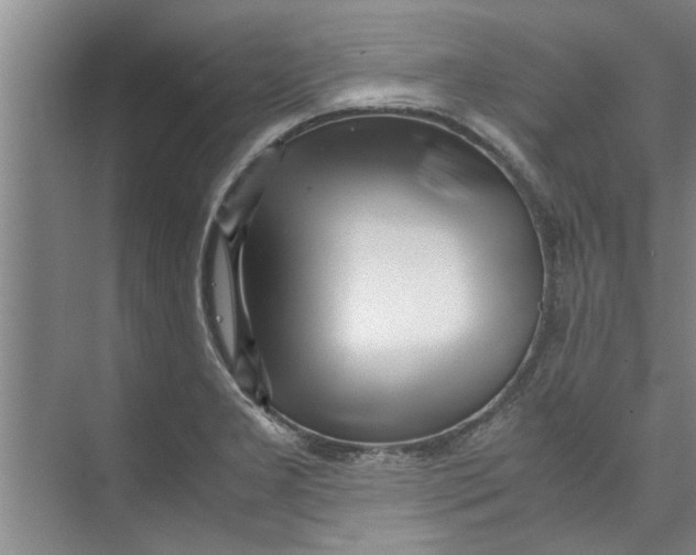 X0000071971277200608041636