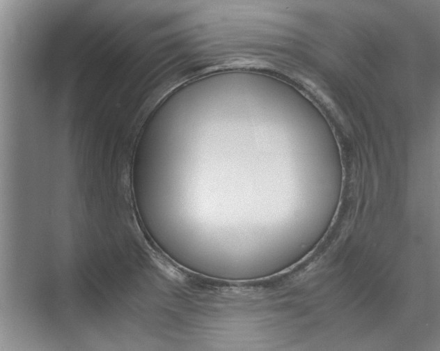 X0000071971281200608041636