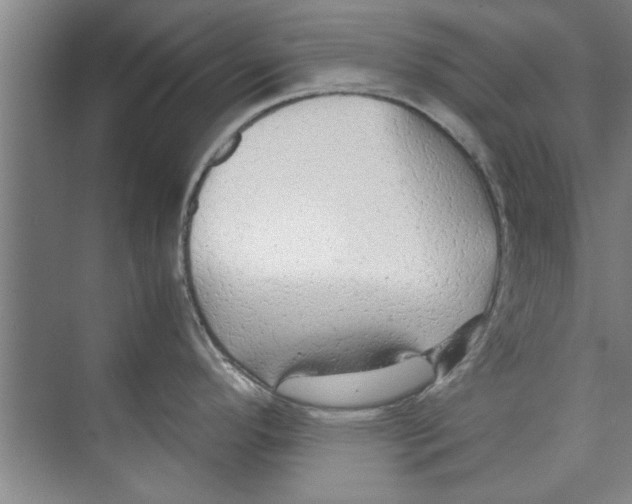 X0000071971296200608041636