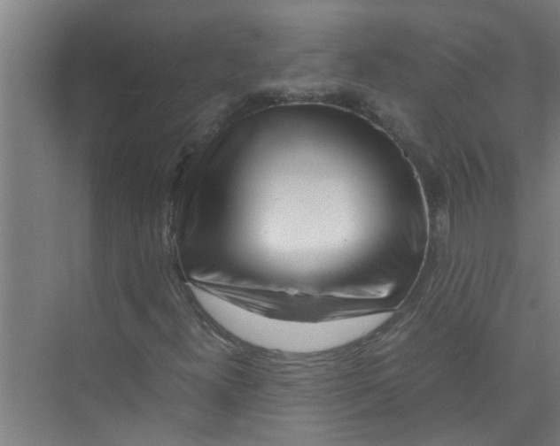 X0000071971300200608041635