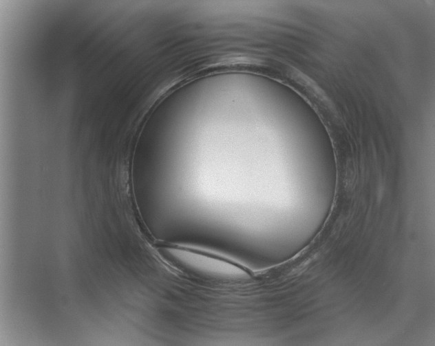 X0000071971321200608041636