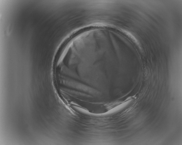 X0000071971327200608041636