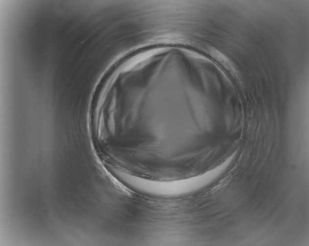 X0000071971334200608041636