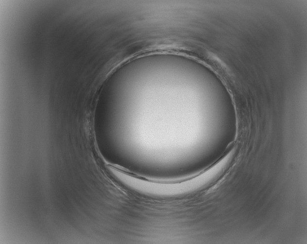 X0000071971361200608041635