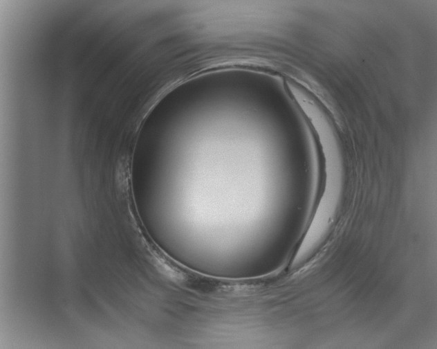 X0000071971377200608041635