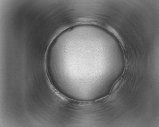 X0000071971386200608041634